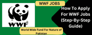 How To Apply For WWF Jobs (Step-By-Step Guide)