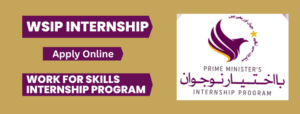 WSIP Internship (Work-for-Skills Internship Program) Apply Online